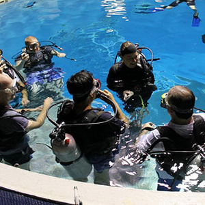 Open Water Dive Courses