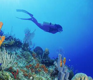 Taking a Scuba Diving Vacation To Key West