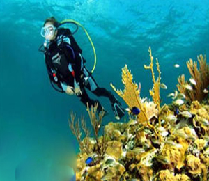 Key West Diving Trips