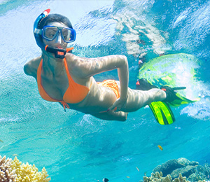 Miami Beach Snorkeling Spots Miami Beach Snorkeling Spots