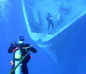Key West Diving an Underwater Safari