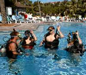 Kick Off Your Vacation at The Key West Dive Center