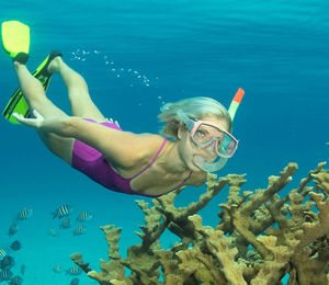 bahamas snorkel snorkeling key west scuba diving adventure freeport vacation tours nassau promise