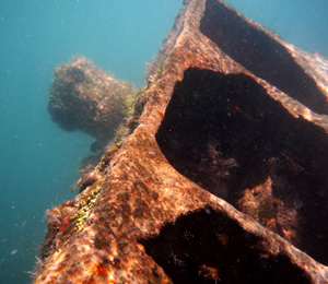 Alexander's Wreck