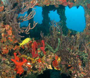 The Sambo Reefs