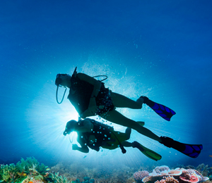 Key West Diving in February